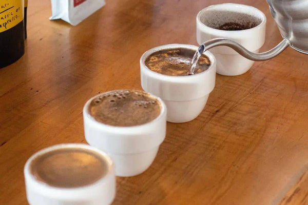 Cupping - Barista og Espresso