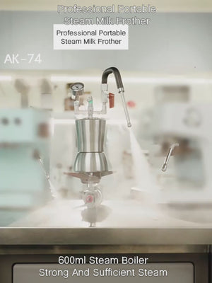 Aleman AK-74 kokeplate med melkeskummer | Profesjonell tørrdamp for Latte Art
