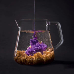 Transparent serveringskanne i glass med moderne design for barista og presis kaffeservering, Siste nytt, alt om kaffe.