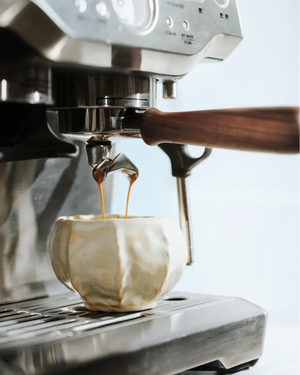 Håndtaksett for Sage Barista Express, Pro & Touch - Barista og Espresso